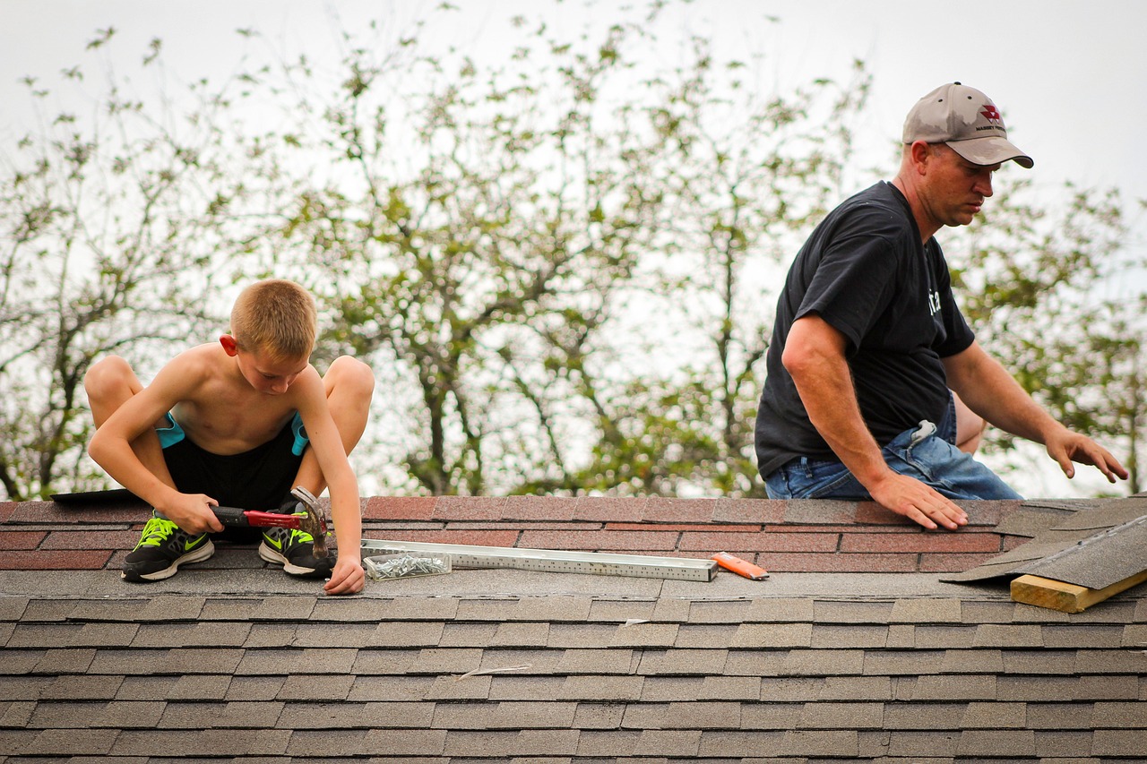 roofing, father, son-5307551.jpg